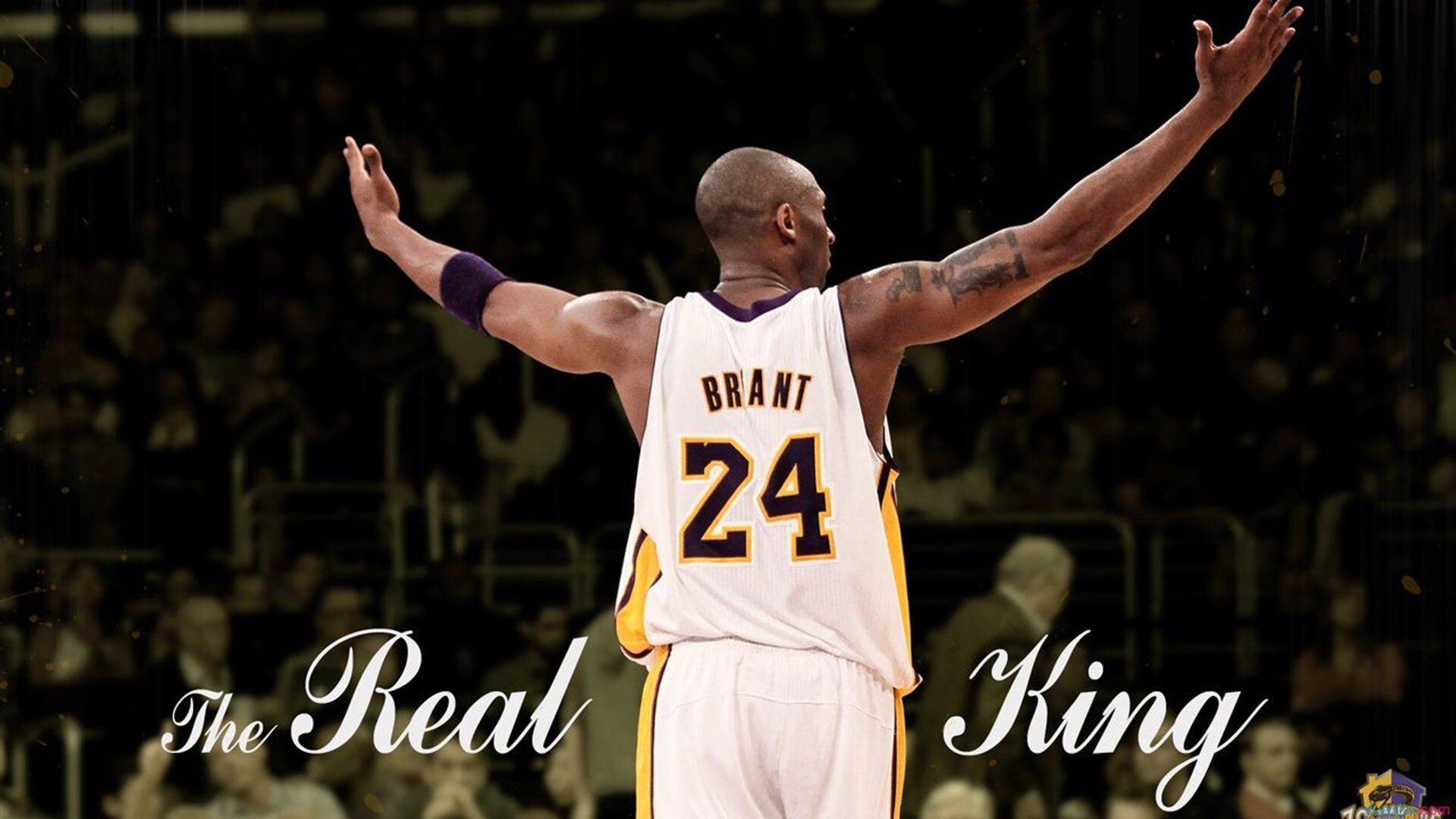 伊朗队中场罗德里格斯在巴黎奥运会上展现出强大的组织能力，伊朗总统内甲德